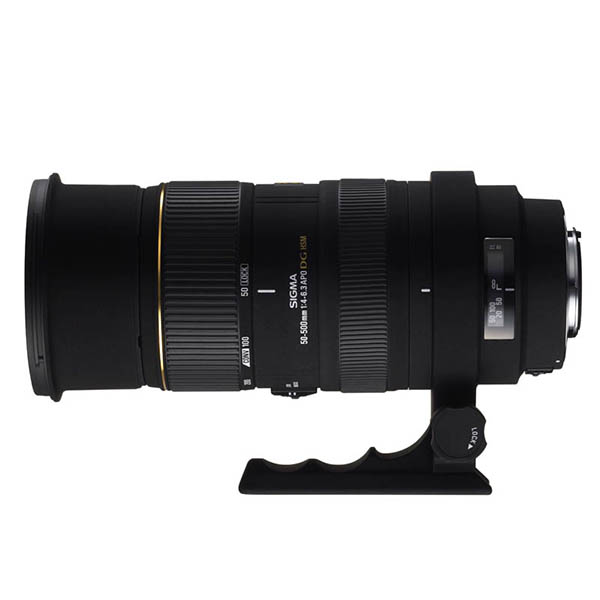 APO 50-500mm F4-6.3 EX DG /HSMで撮影された写真 | 写真検索 | GANREF