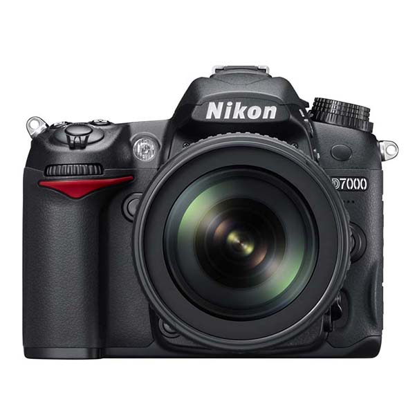 D7000で野鳥撮影を再開（エナガ） | GANREF