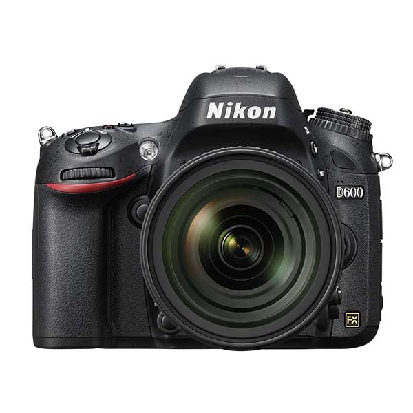 ヒカリゴケ | GANREF