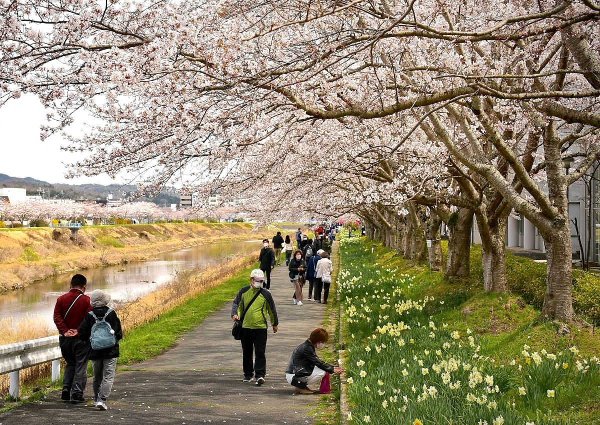 花を愛でる 人物 仲間 友人 集団 Ganref