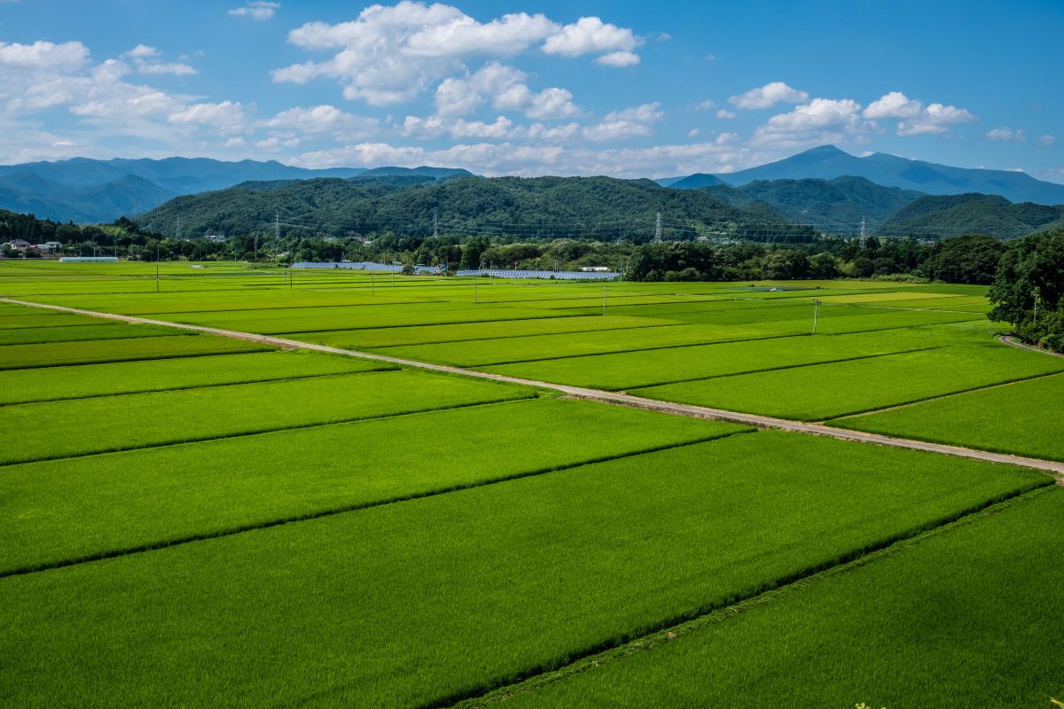 XC15-45mmF3.5-5.6 OIS PZで撮影された写真 | 写真検索 | GANREF