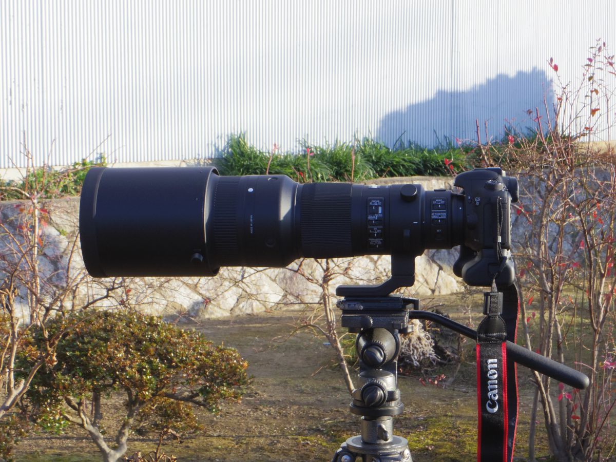 SIGMA APO TELE 500mm シグマ　レンズ　ミノルタ　カメラ GoPro シグマ SIGMA 超望遠ズームレンズ APO 150-500mm F5-6.3