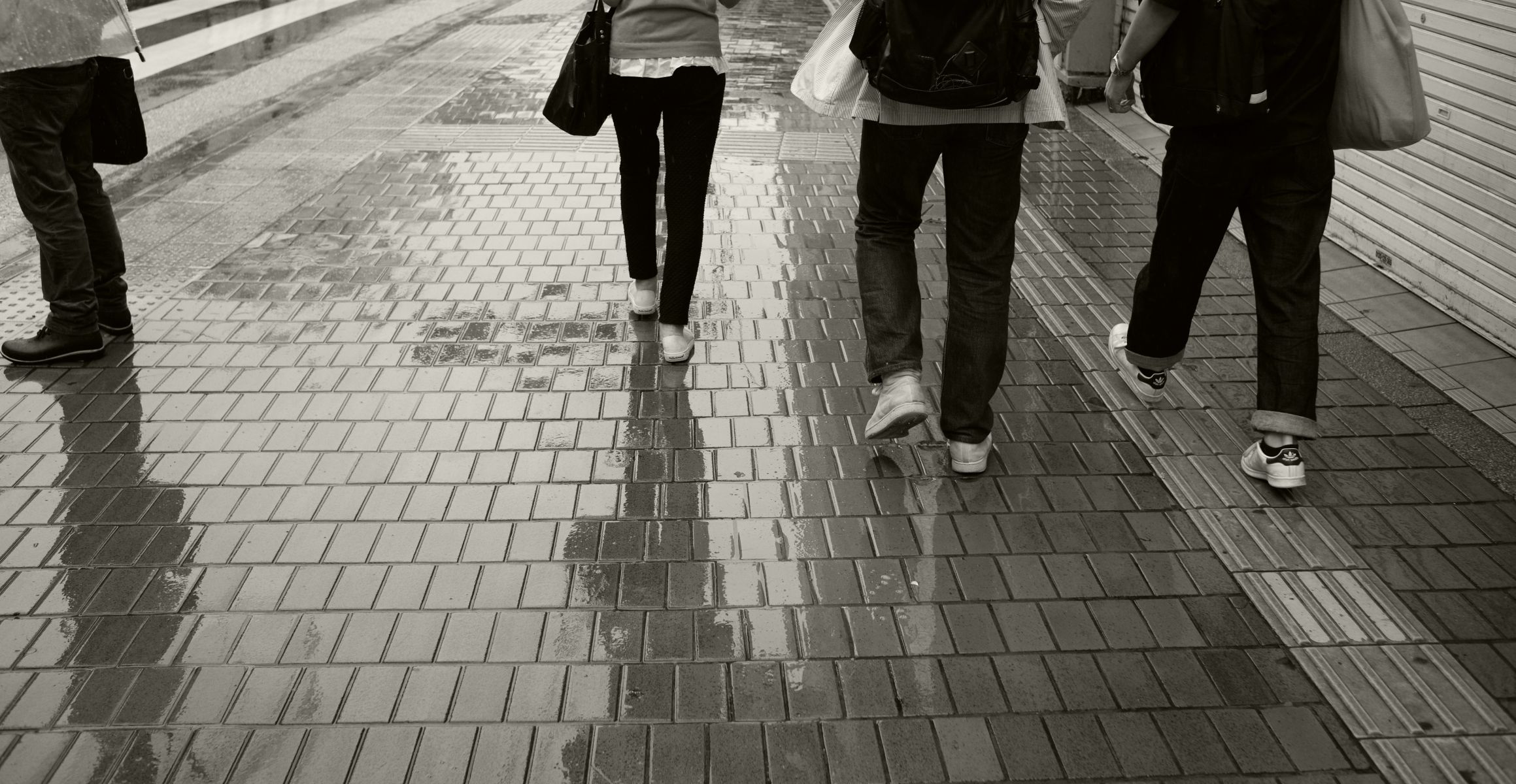 雨の歩道 自然 風景 気象 天候 天気 Ganref