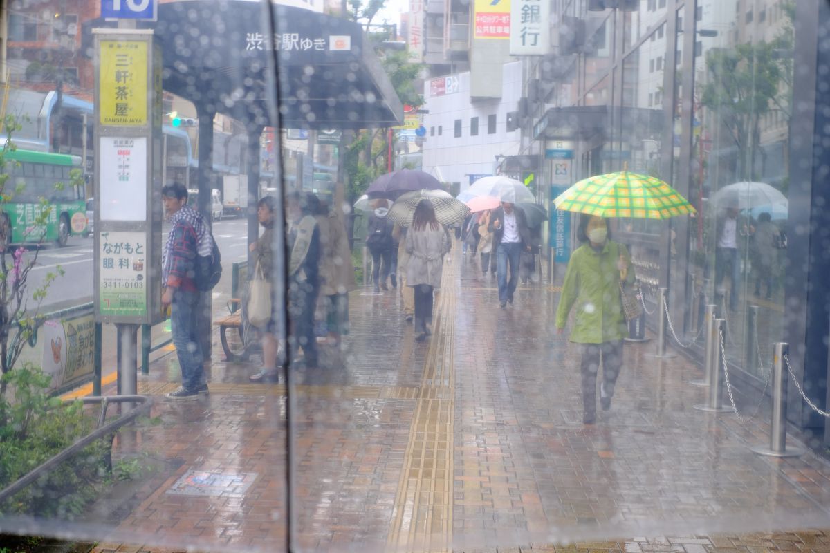 ビニール傘フィルター 自然 風景 気象 天候 天気 Ganref