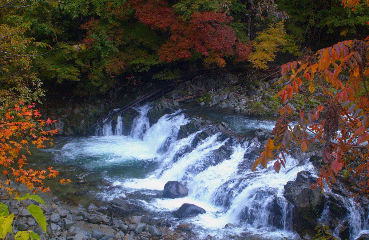 EF20-35mm F3.5-4.5 USMで撮影された写真 | 写真検索 | GANREF