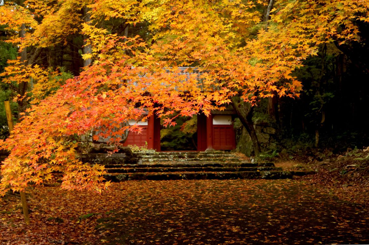 EF20-35mm F3.5-4.5 USMで撮影された写真 | 写真検索 | GANREF