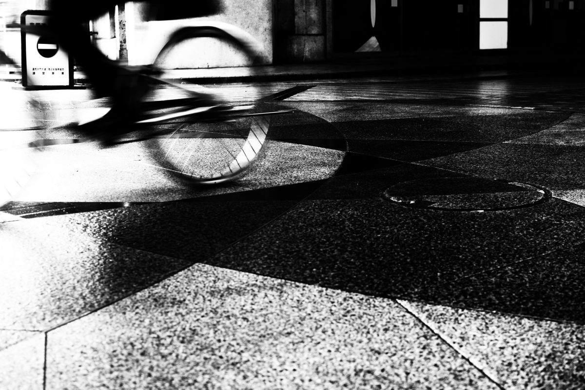 D3300で撮影された写真 | 写真検索 | GANREF