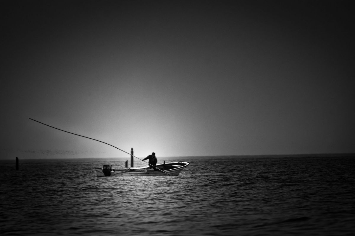 D3300で撮影された写真 | 写真検索 | GANREF