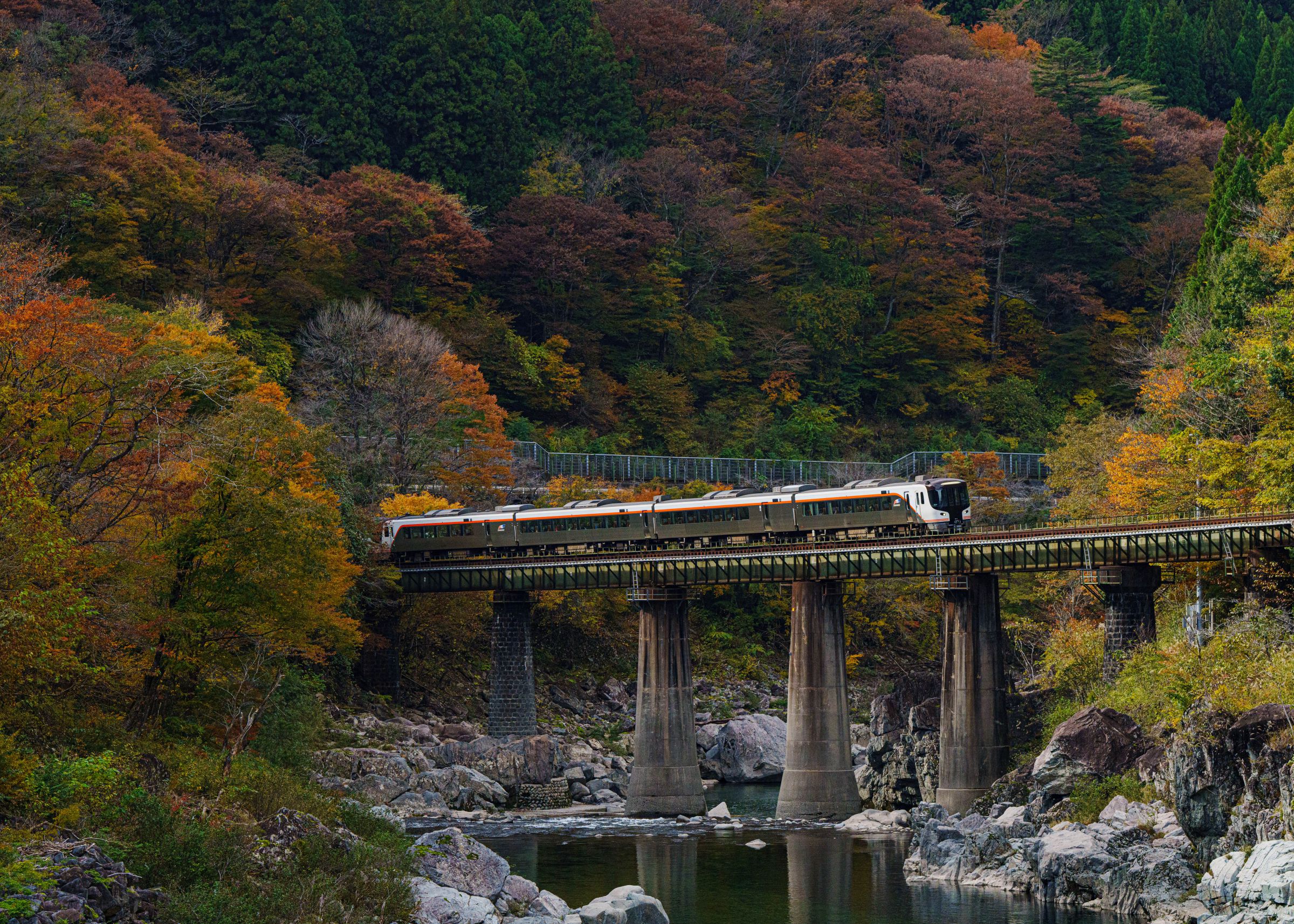 鉄道模型 ゆめレール 昭和の鉄道風景ジオラマ 高山本線下呂～焼石間情景