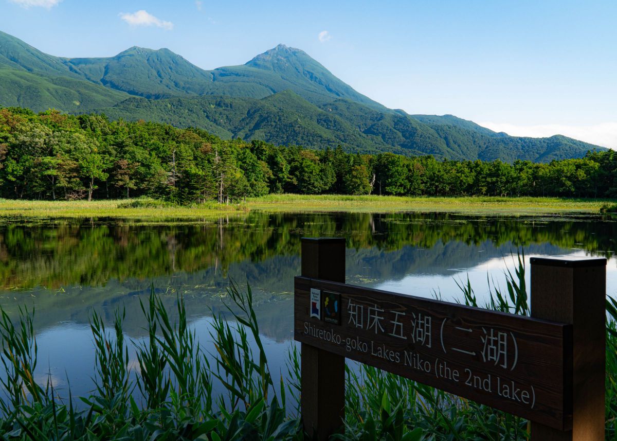E PZ 18-105mm F4 G OSSで撮影された写真 | 写真検索 | GANREF