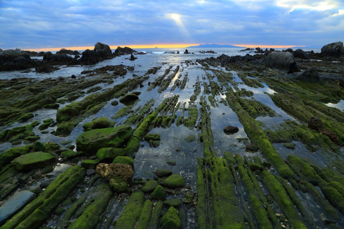 アオサの育つ磯 千葉県根本海岸 自然 風景 海 Ganref