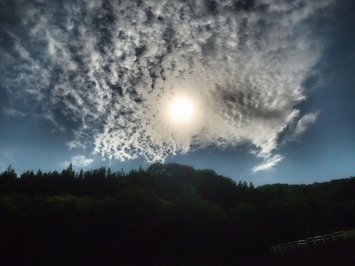キモい雲 自然 風景 空 雲 Ganref