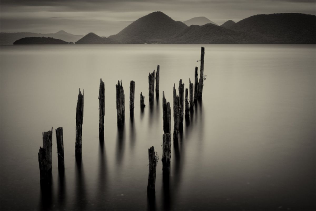 キャノン 1D　marklll 作例有 EOS-1D X mark IIIでカワセミ撮影のススメ | 近江猫屋敷