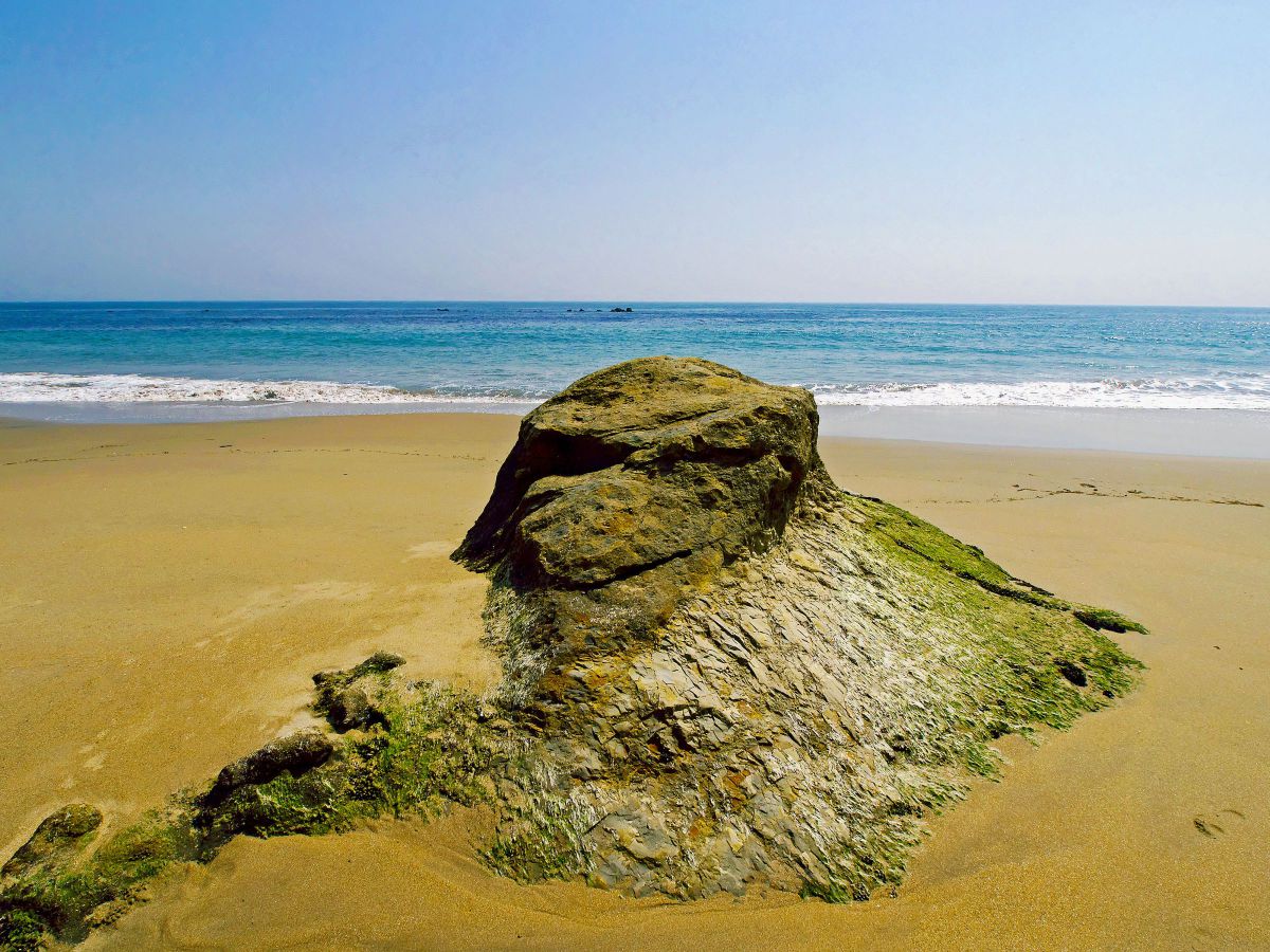 MDAwMDA2ODU3Nw_MC44MzkzNTgwMCA