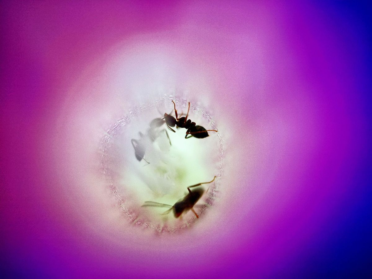 ショット数2002回✨Olympus E-510 発表会 野外撮影に❣️ E-510で撮影された写真 | 写真検索 | GANREF