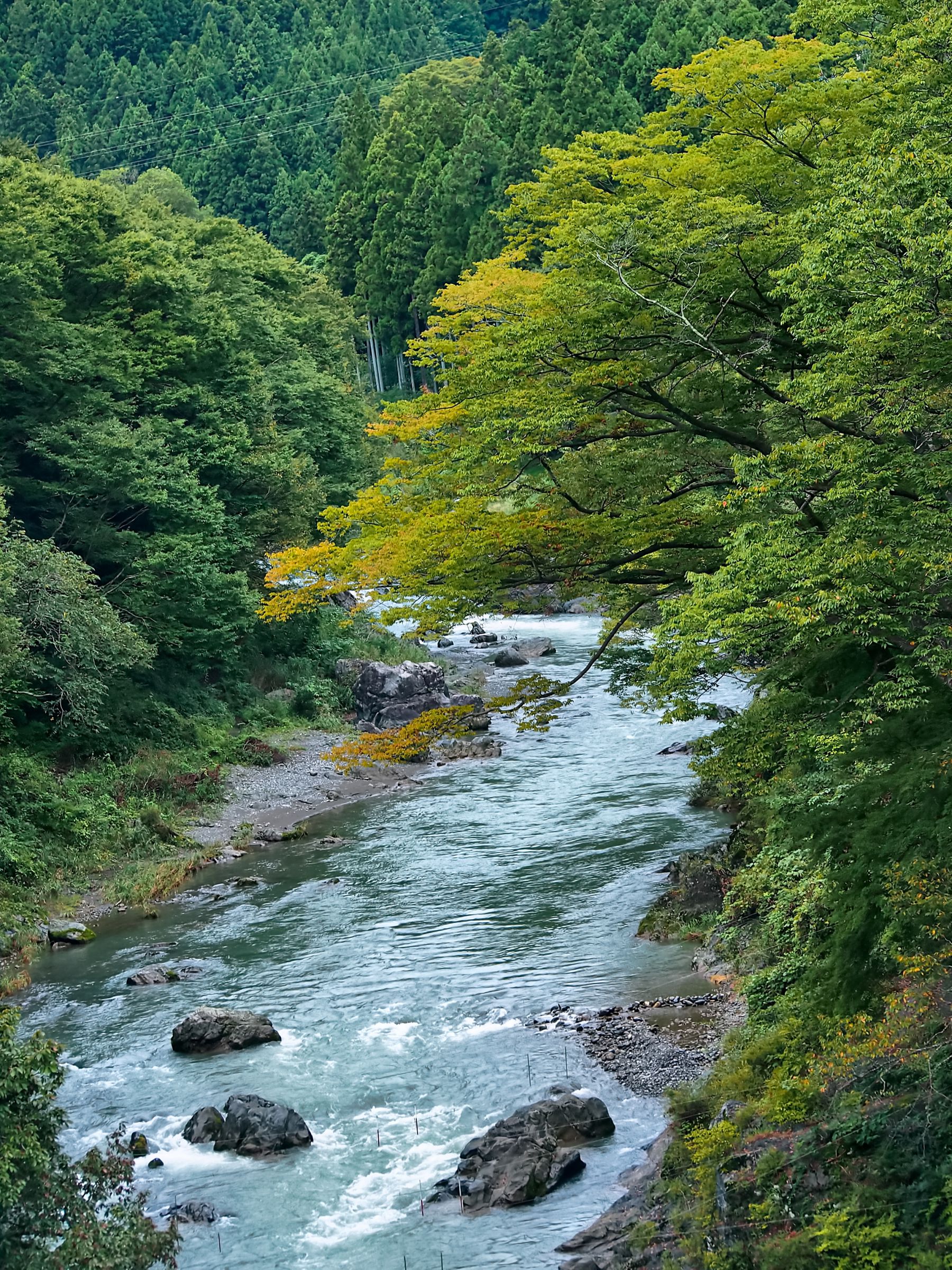 多摩川の上流-01 | GANREF