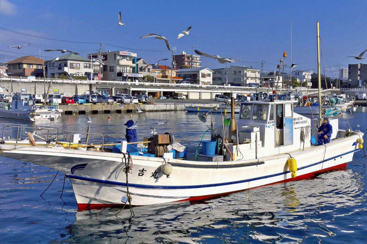 小田原漁港 GANREF