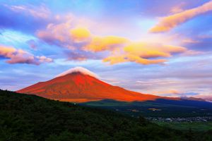 787d3f0a928c43816dd3a9fbee5d4c