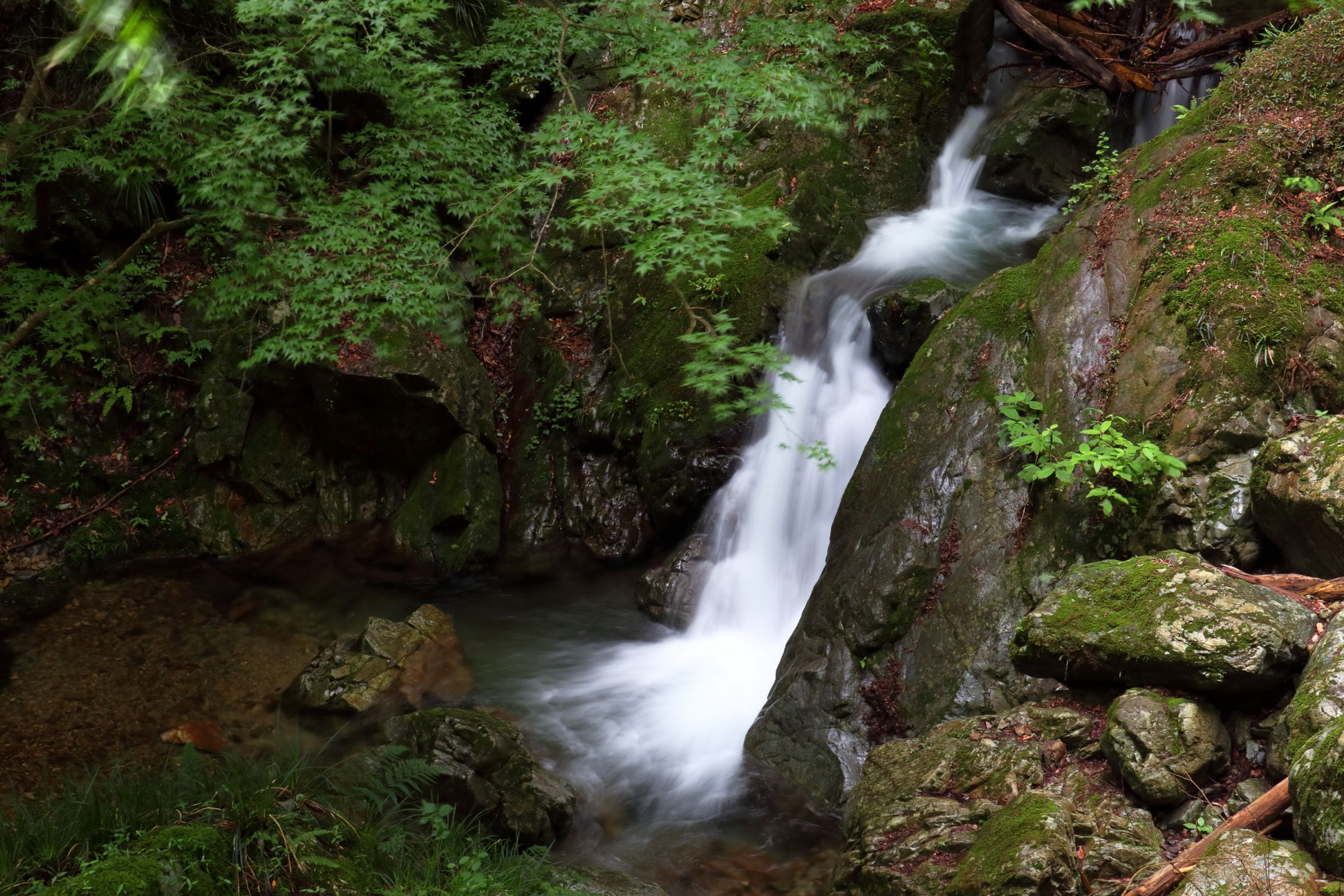 小さい滝 | GANREF