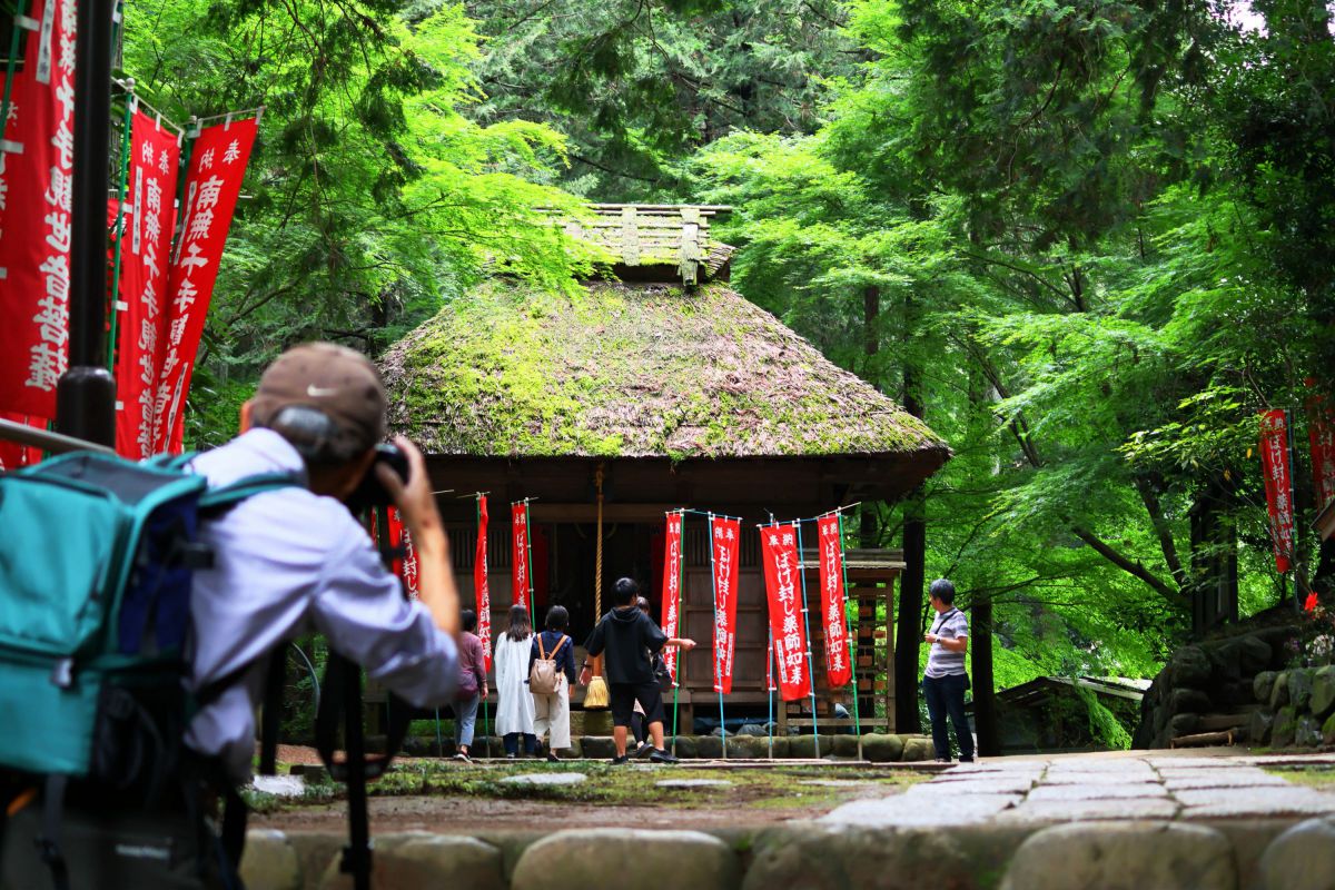 EF-S55-250mm F4-5.6 IS IIで撮影された写真 | 写真検索 | GANREF