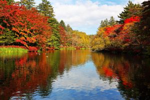 続・秋の雲場池 | GANREF