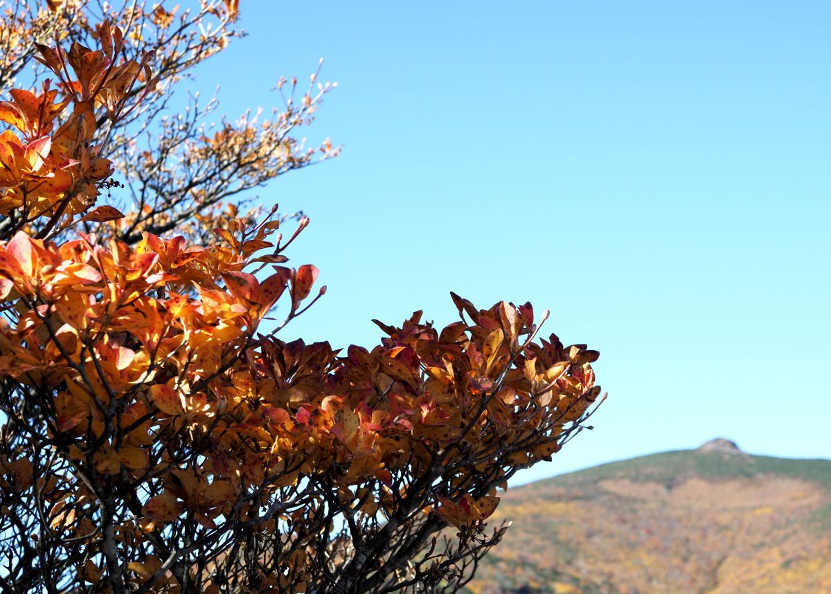 安達太良山 GANREF