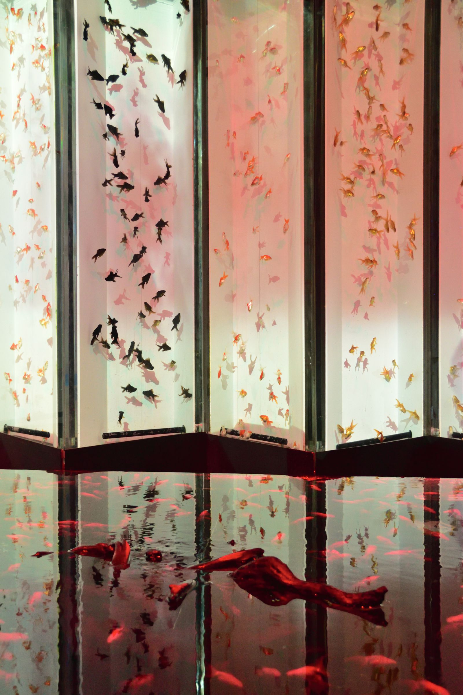 真作】漆絵 金魚図 二曲屏風風パネル 漆黒地彩色絵 黒漆風装飾絵 X24