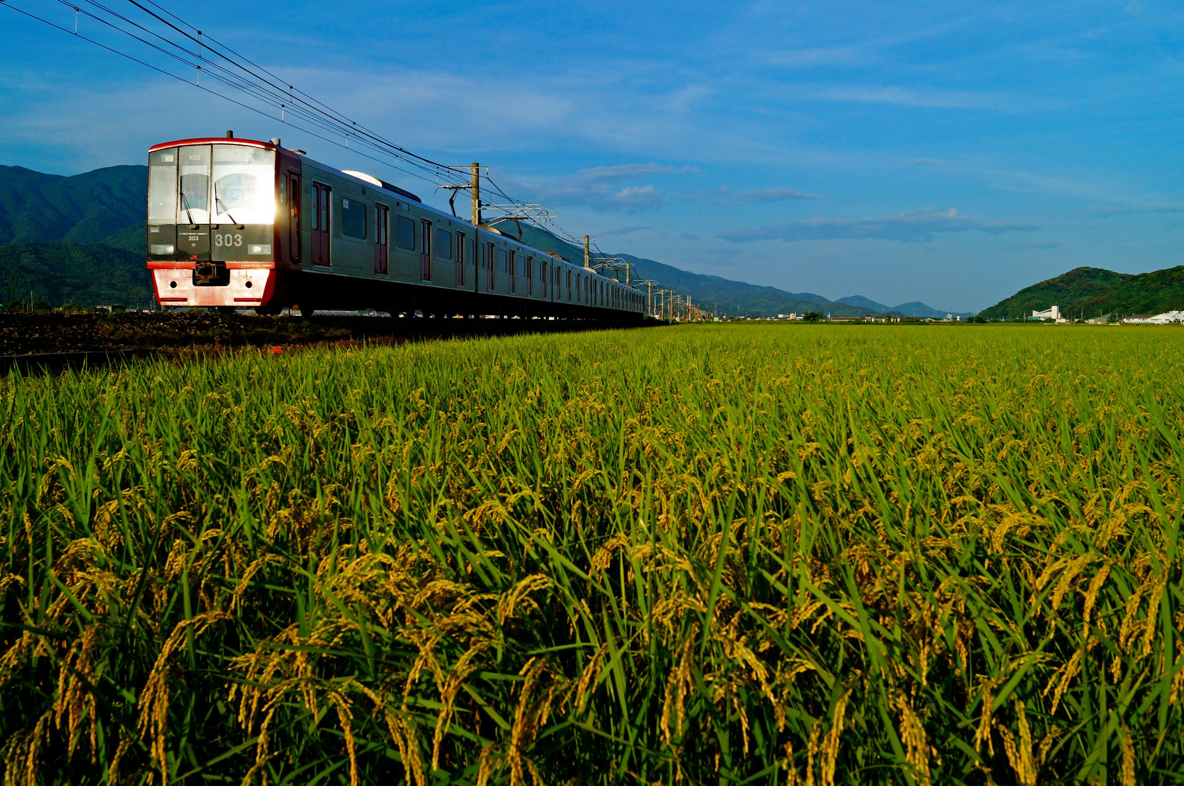 夏の田園風景の中を | GANREF
