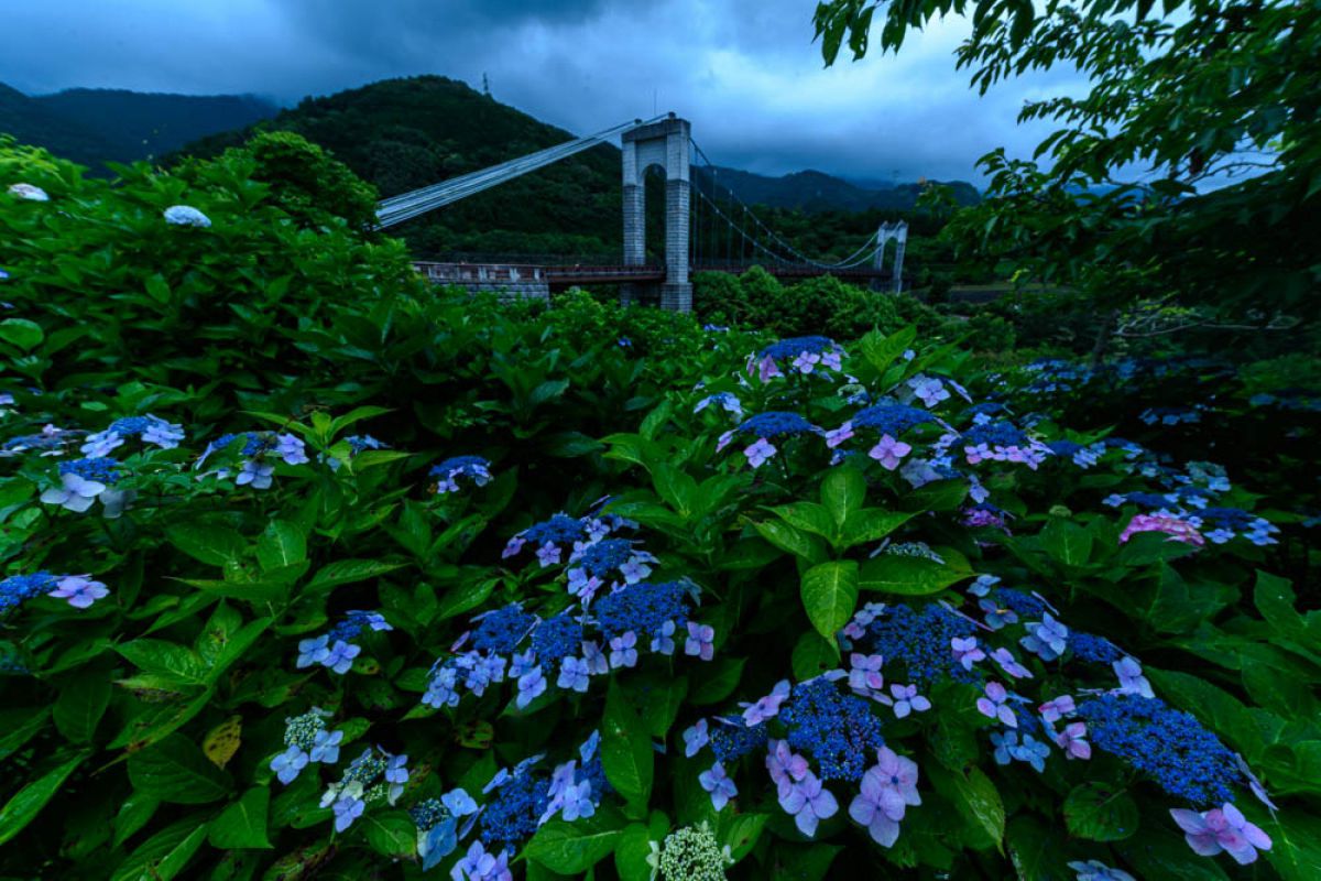 雨模様 | GANREF