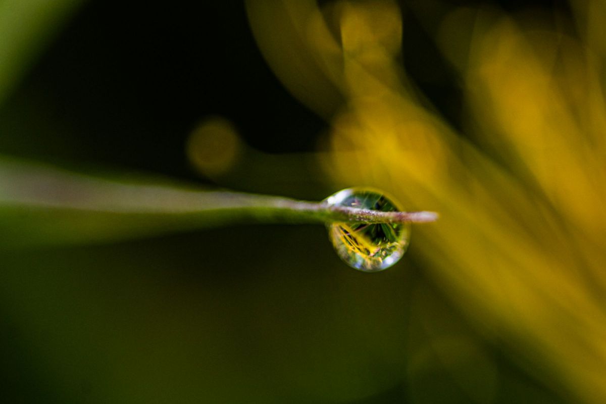 Ai AF Micro-Nikkor 60mm f/2.8Dで撮影された写真 | 写真検索
