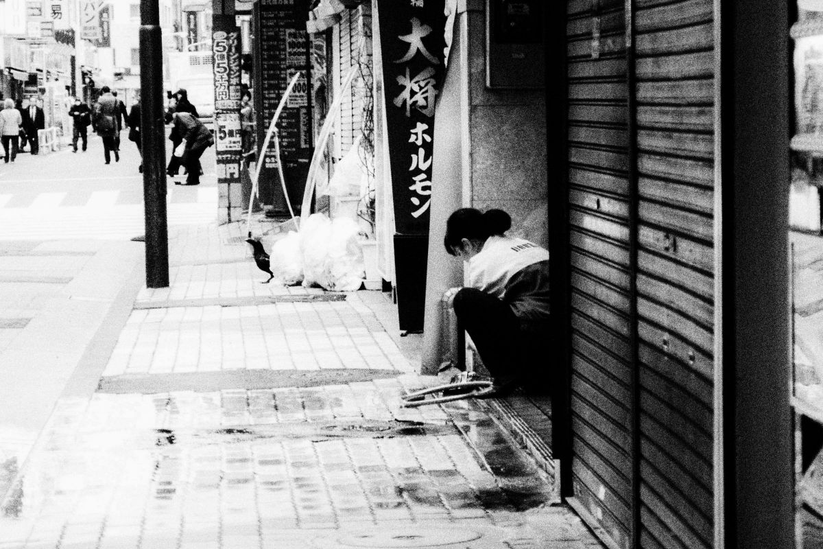 OLYMPUS XZ-1で撮影された写真 | 写真検索 | GANREF