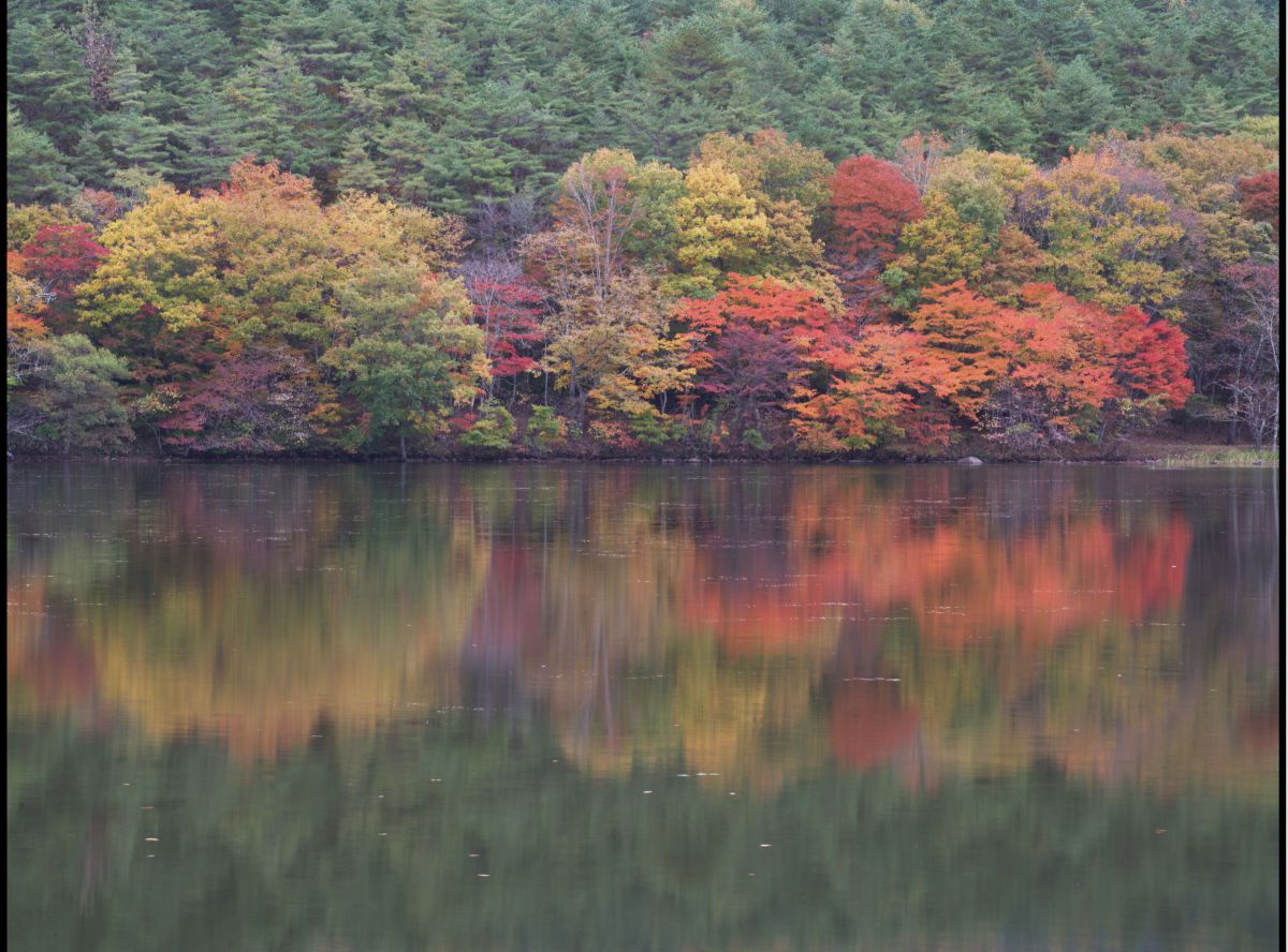 PENTAX 645Zで撮影された写真 | 写真検索 | GANREF