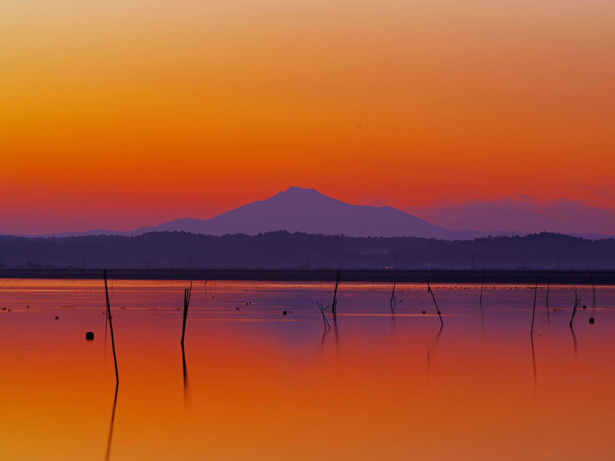 FA645 150-300mmF5.6ED[IF]で撮影された写真 | 写真検索 | GANREF