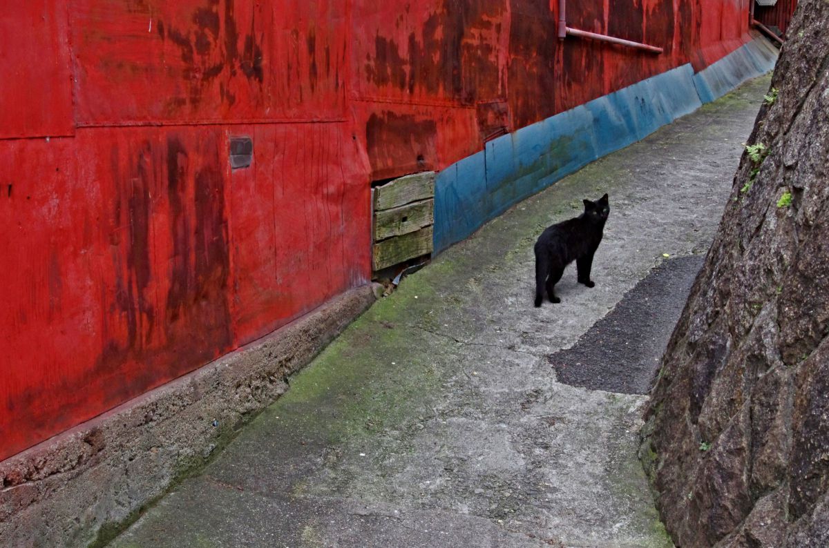 尾道の路地 GANREF