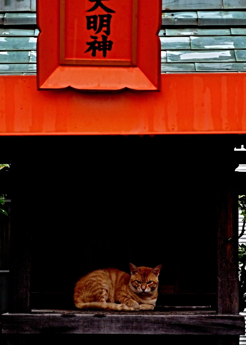 猫神様 | GANREF
