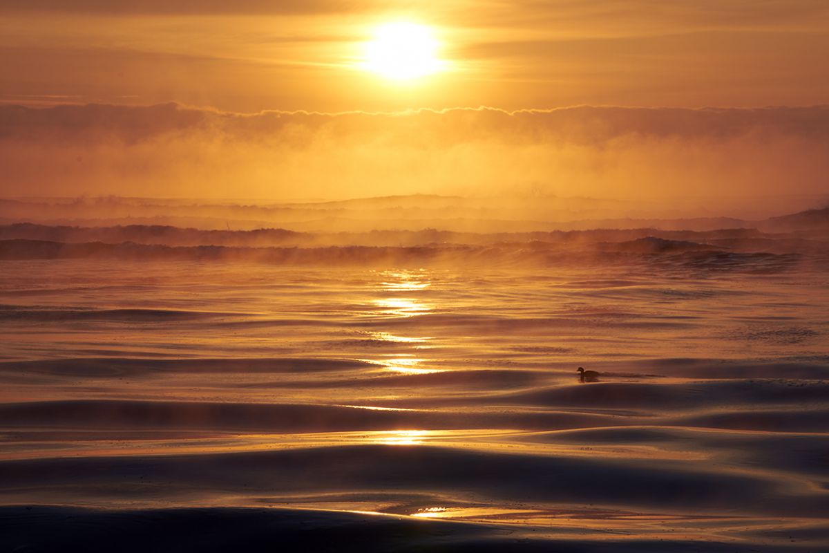 大津海岸のけあらし 自然 風景 海 Ganref
