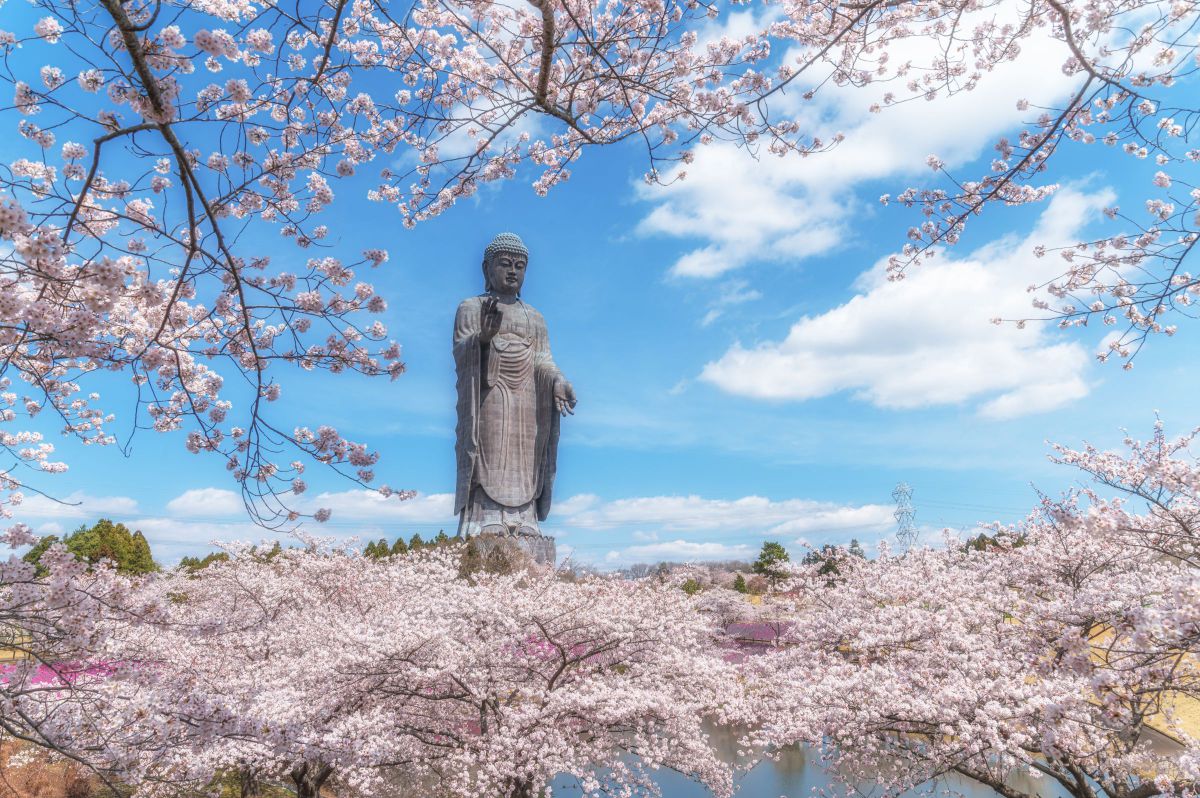 極楽浄土 | GANREF