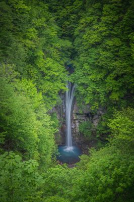 Z 6で撮影された写真 写真 Ganref