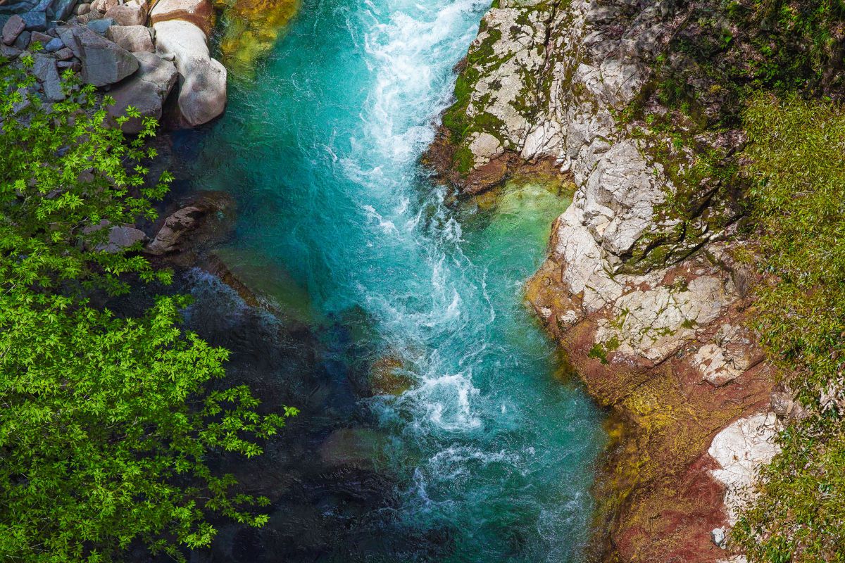 Vivid flow | GANREF