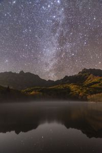 78827282873bbcae3c86eeb1202c49