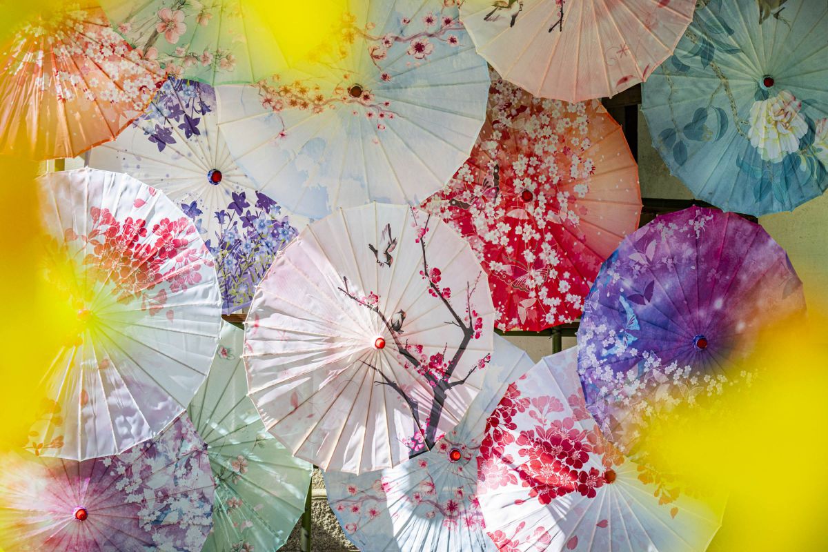 Z5IIで撮影された写真 | 写真検索 | GANREF