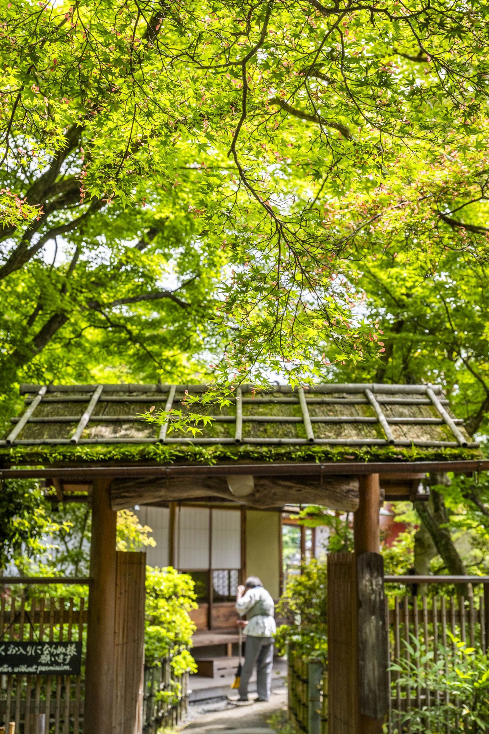 緑陰の棟門 | GANREF