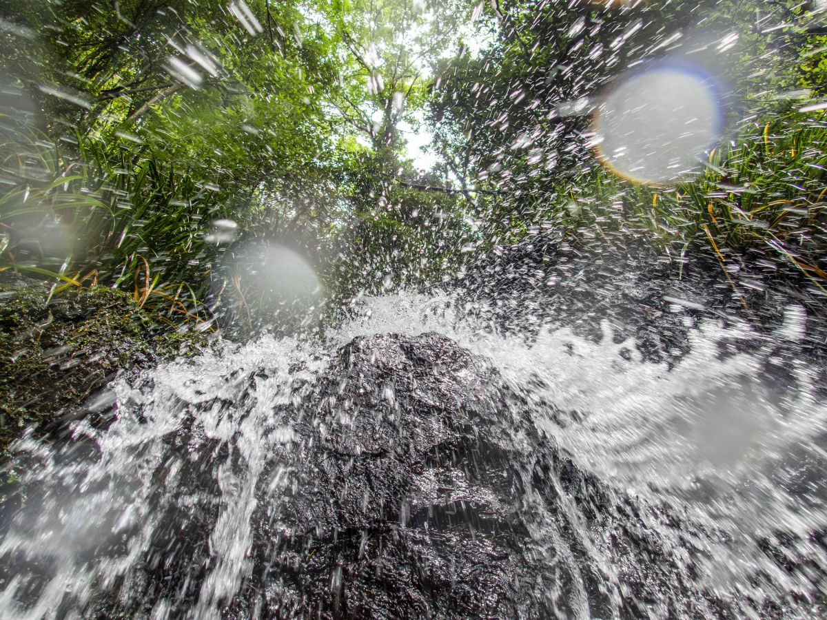OLYMPUS Tough TG-5で撮影された写真 | 写真検索 | GANREF