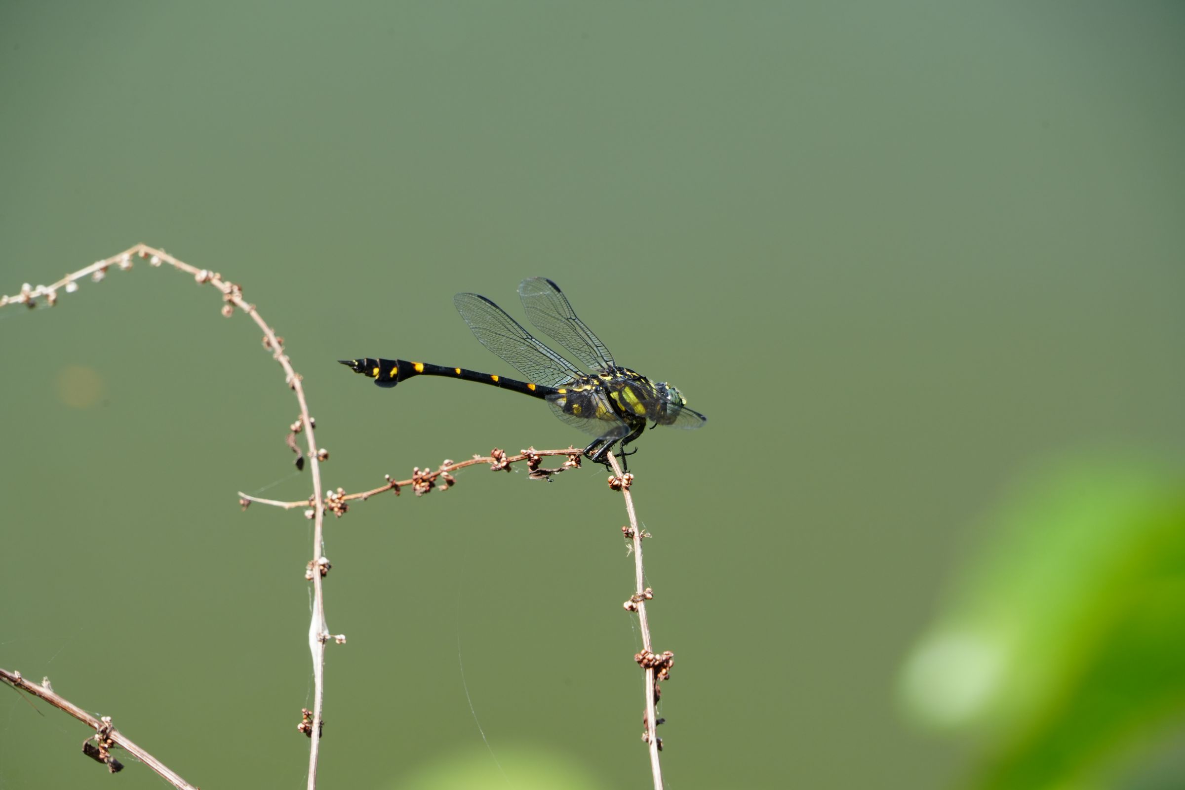 エメラルド様　複数購入② 遮光2級・遮熱カーテン&レース4枚セット(RP014 100X178cmセット