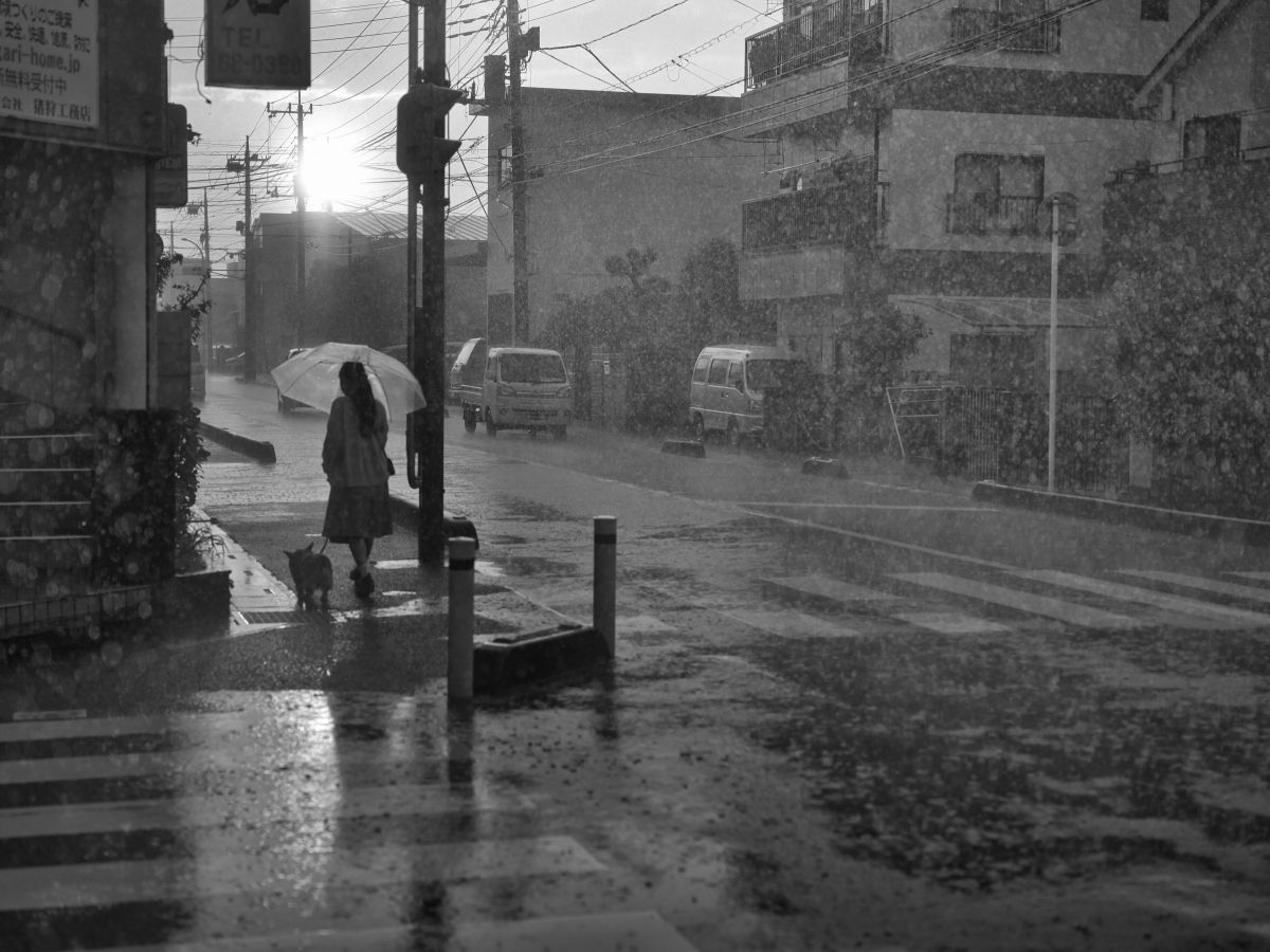 通り雨。。。 | GANREF