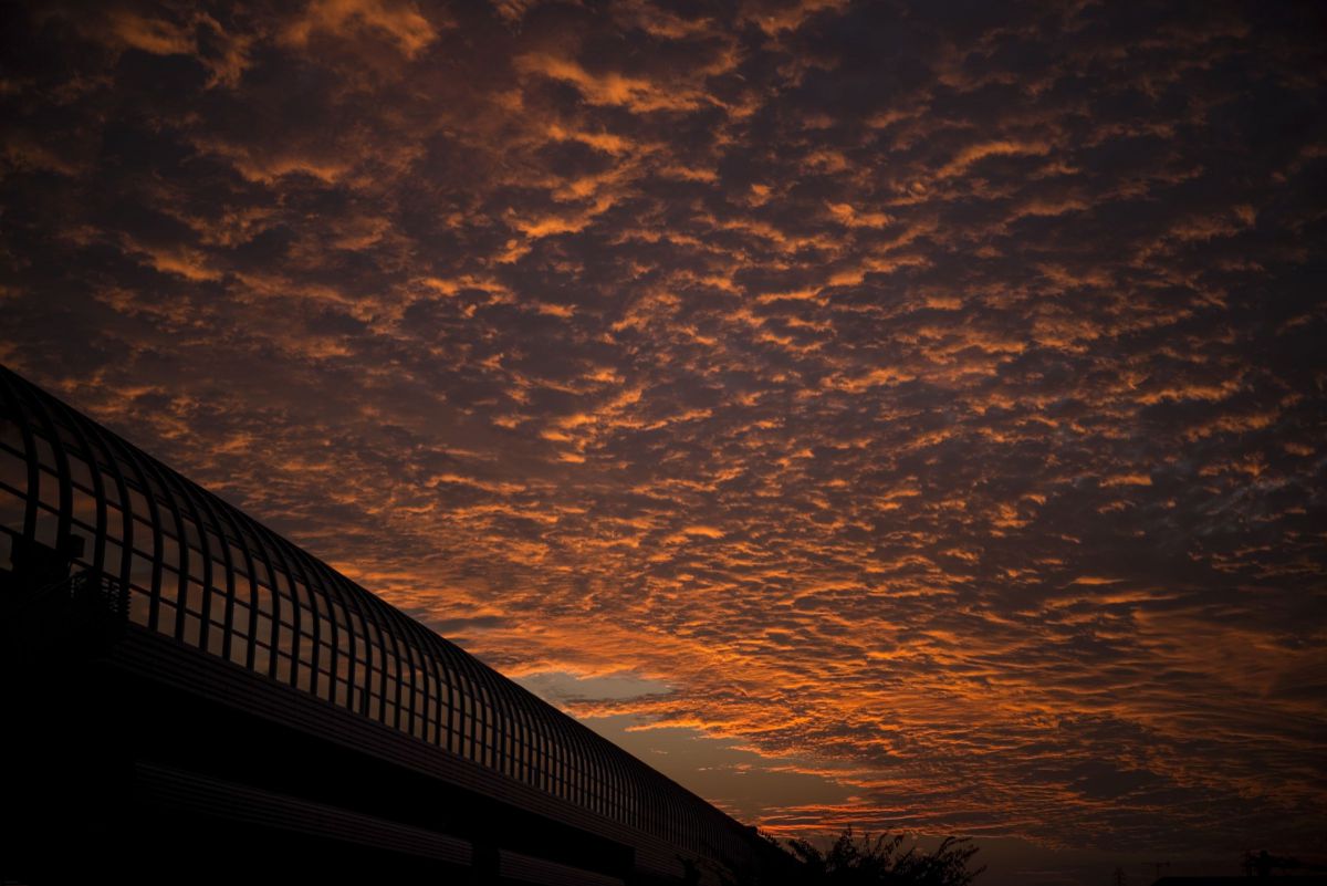 NOKTON Vintage Line 50mm F1.5 Aspherical II VM SCで撮影された写真