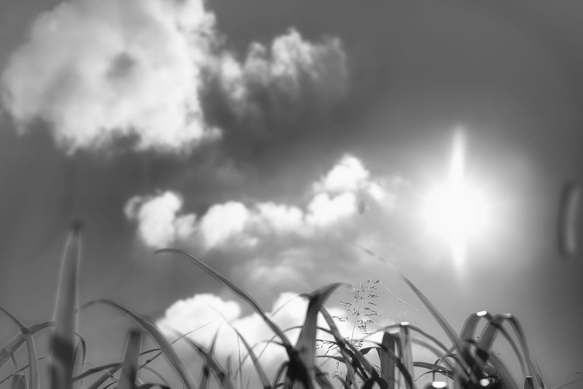 NOKTON Vintage Line 50mm F1.5 Aspherical II VM SCで撮影された写真