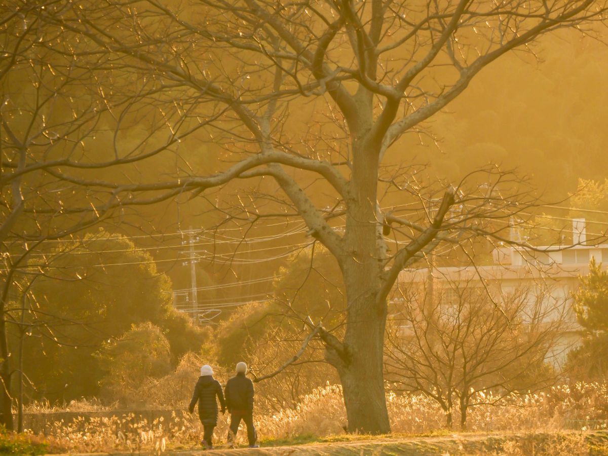 黄昏の光の中を。 GANREF