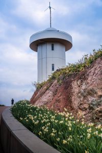 おぼろ夕陽 | GANREF