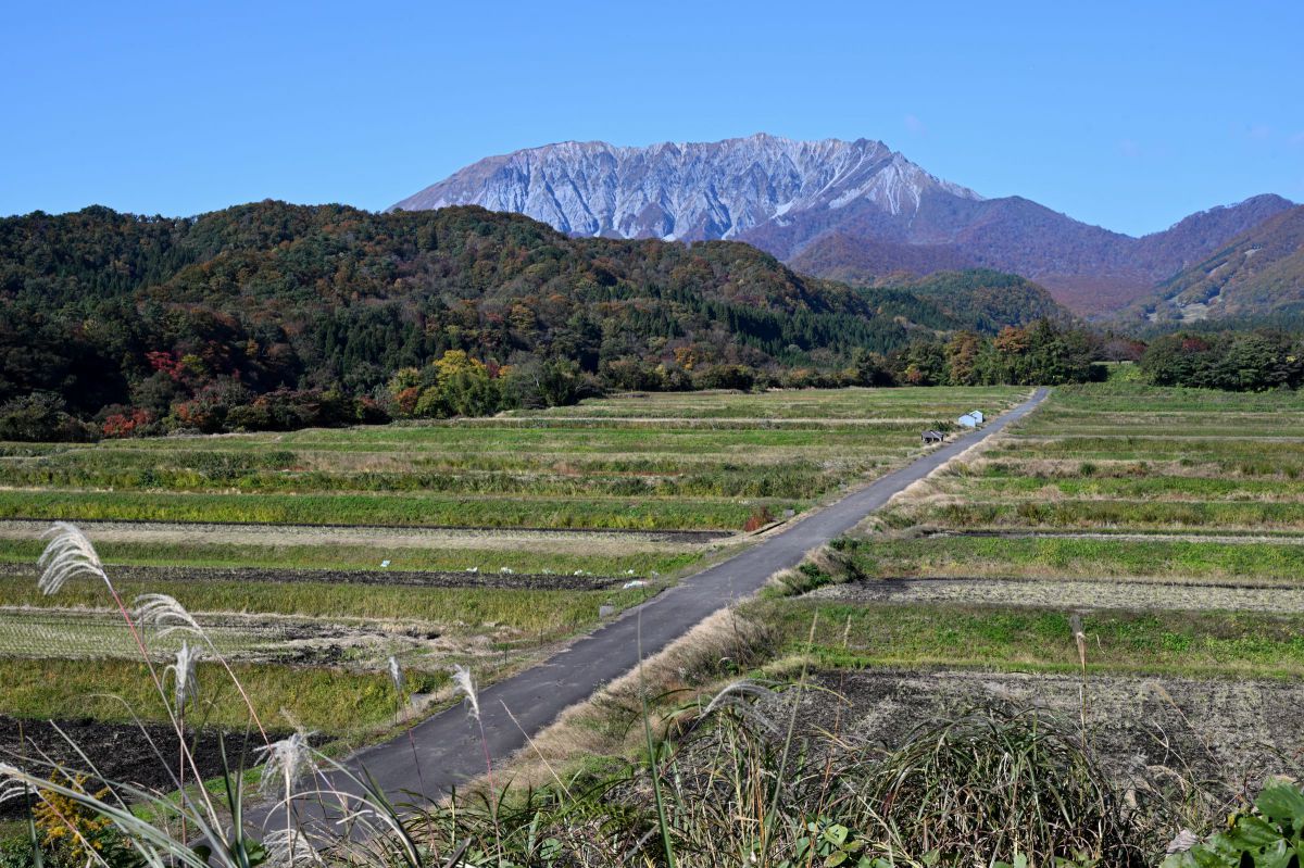 田園風景 | GANREF